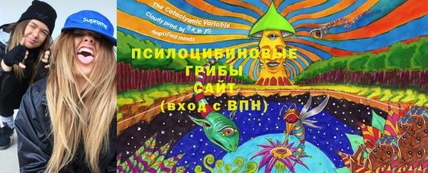 тгк Алзамай